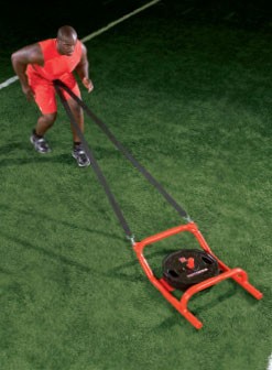 buy Belt Harness